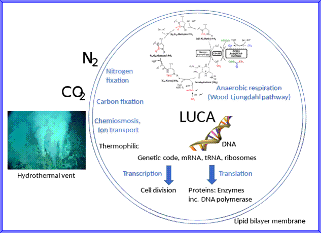 LUCA systems and environment[10]